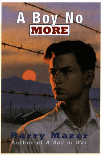 A Boy No More book cover