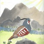 A watercolour painting of a mountain quail.