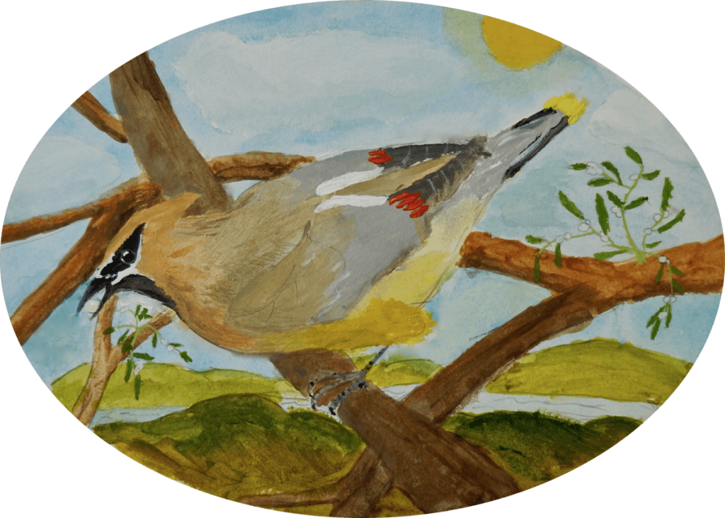 A painting of a cedar waxwing in a tree.