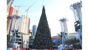 A photograph of a Christmas tree in the middle of a city.