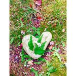 A photograph of a heart-shaped rock.