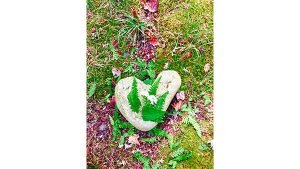 A photograph of a heart-shaped rock.