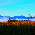 A vivid photograph of a misty landscape.