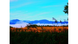 A vivid photograph of a misty landscape.
