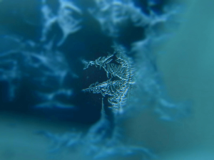 A photograph of a snowflake, partially hidden by blurry blue spots.