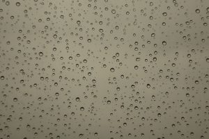 Water Droplets (Canon G9 X)