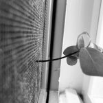 A photograph of a plant growing sideways through mesh.