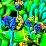 A vivid, almost neon photograph of flowers.