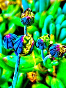 A vivid, almost neon photograph of flowers.