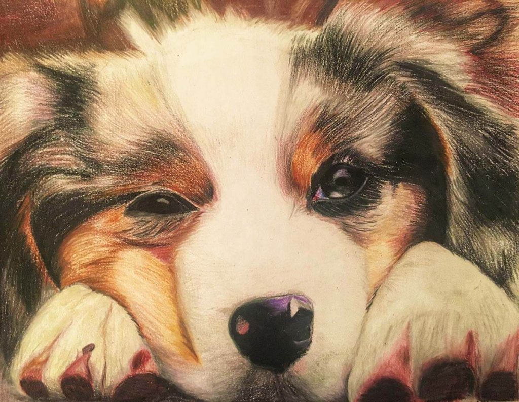 A loving pencil crayon portrait of a dog.
