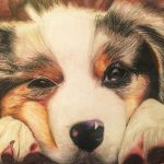 A loving pencil crayon portrait of a dog.