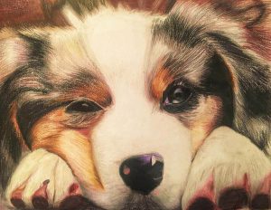 A loving pencil crayon portrait of a dog.