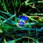 A photograph of a multicoloured bubble in the grass.
