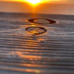 Photograph of wood with sun in background