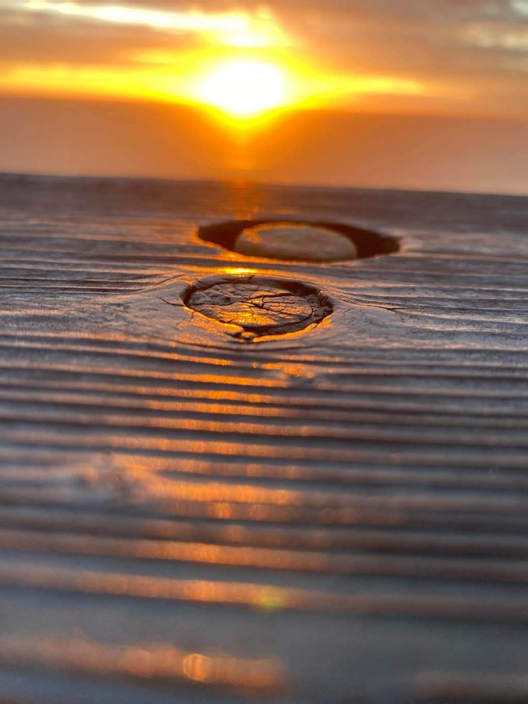 Photograph of wood with sun in background